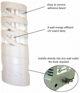 FlyWeb - Fruit Fly Traps for Indoors, Gnat Traps for House Indoor